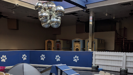 Dog day care in Cleveland Ohio K9 Cleveland 1