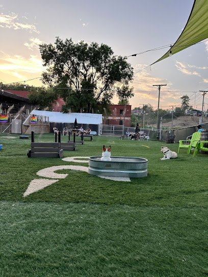 Dog day care in Cleveland Ohio Taps Tails 1