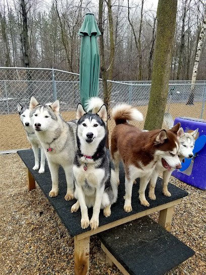 Dog day care in Cold Spring Minnesota The Barking Birch Pet Lodge 1