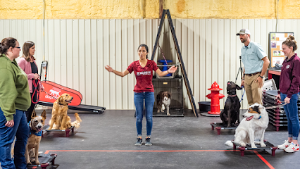 Dog day care in College Station Texas Sit Means Sit Dog Training College Station 1