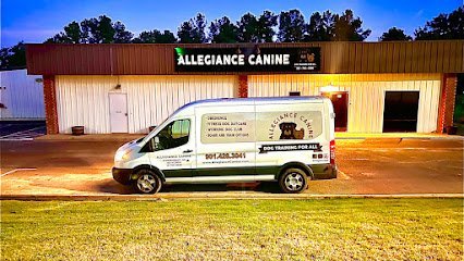 Dog day care in Collierville Tennessee Allegiance Canine 1