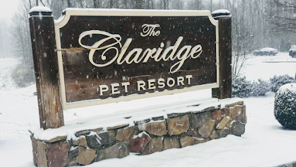 Dog day care in Collierville Tennessee Claridge Spa Pet Resort 1