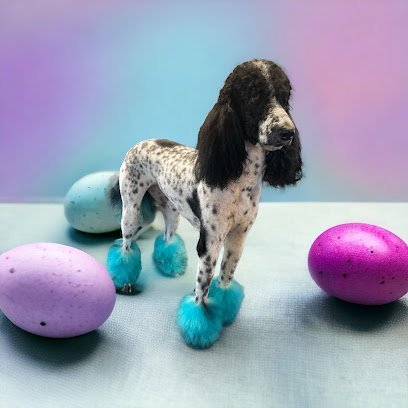 Dog day care in Colorado City Texas The Ritz Pet Resort and Spa LLC 1