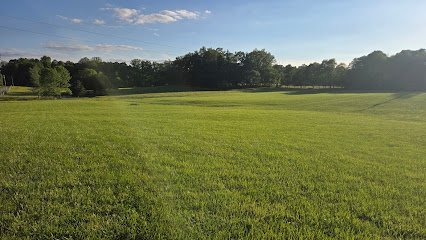 Dog day care in Columbia Kentucky Stay and Play Academy 1