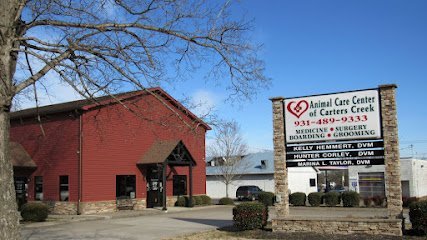 Dog day care in Columbia Tennessee Animal Care Center of Carters Creek 1