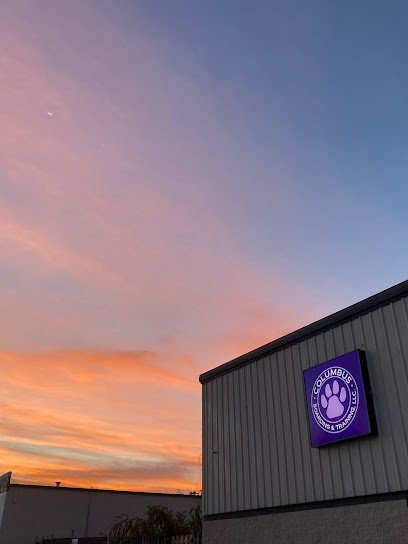 Dog day care in Columbus Georgia Columbus Boarding and Training