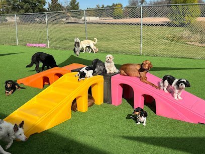 Dog day care in Columbus Minnesota Muddy Paws Play Stay 1