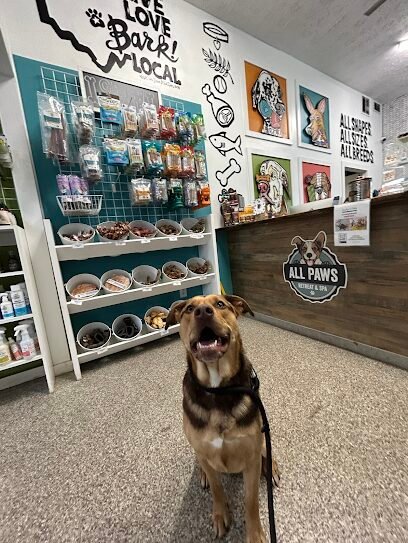 Dog day care in Columbus Ohio All Paws Retreat 1