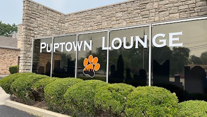 Dog day care in Columbus Ohio Puptown Lounge Upper Arlington 1