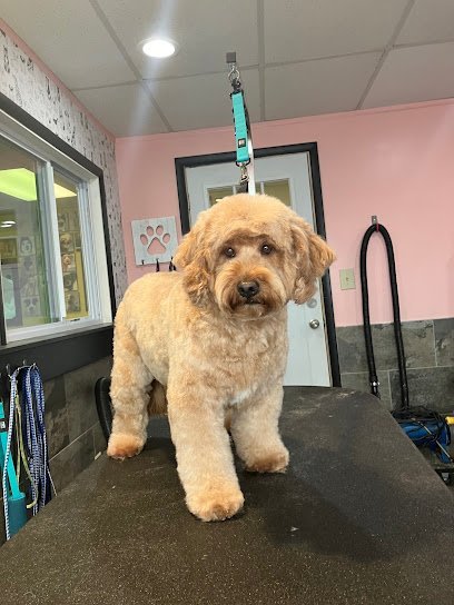 Dog day care in Columbus Ohio The Doggy Den 1