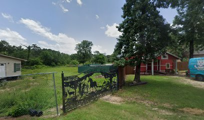 Dog day care in Conroe Texas Epic Pet Resort 1