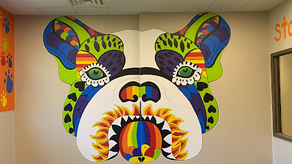 Dog day care in Conroe Texas The Pet Resort @ Stone Ridge   Conroe TX 1