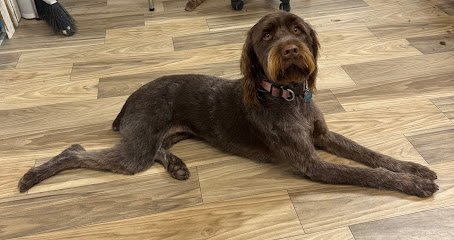 Dog day care in Coquille Oregon Smoochies Pet Grooming Boarding 1