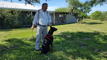 Dog day care in Corpus Christi Texas Bluff Boarding Kennels Cattery 1