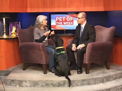 Dog day care in Corvallis Oregon Wag n Smile 1