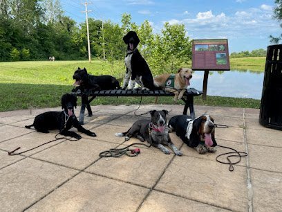 Dog day care in Cottleville Missouri Pawfect K9 1 1