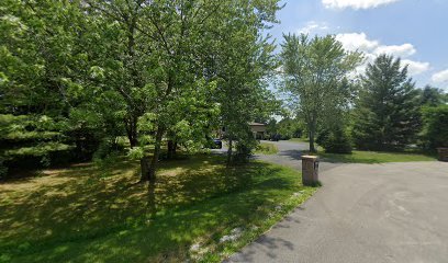 Dog day care in Crete Illinois Dogs Are Deserving Rescue 1