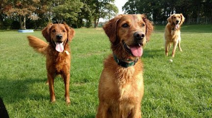 Dog day care in Crosslake Minnesota Northland Pet Lodge 1