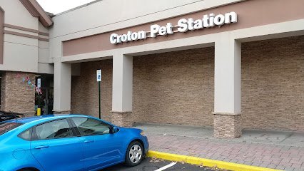 Dog day care in Croton On Hudson New York Croton Pet Station 1