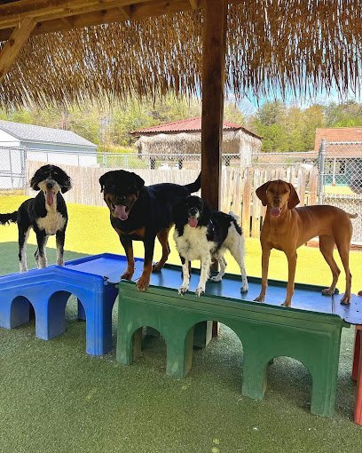 Dog day care in Crownsville Maryland Happy Tails Pet Resort 1