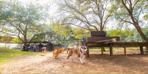 Dog day care in Cypress Texas The Oaks Dog Ranch 1