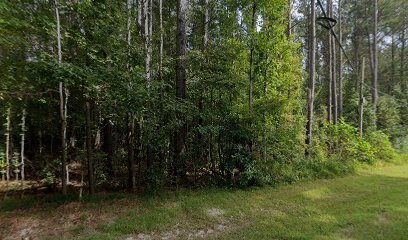 Dog day care in Dallas Georgia Heavenly creatures pet sitting