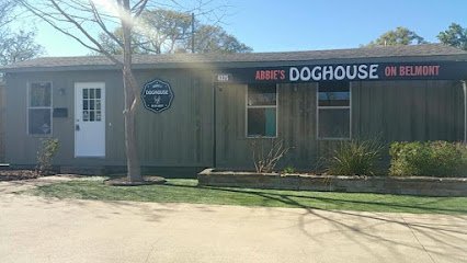 Dog day care in Dallas Texas Abbie s Dog House on Belmont 1