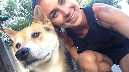 Dog day care in Dallas Texas Dog Walker Inc 1