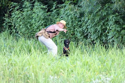 Dog day care in Dallas Texas Wildrose Kennel Texas 1