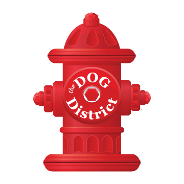 Dog day care in Darien Illinois Dog District 1