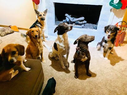 Dog day care in Dawson Illinois Lingafelter s K9 Puppy Palace 1