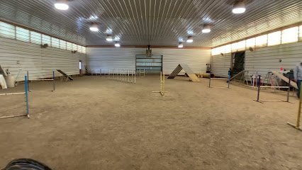 Dog day care in Dayton Ohio Big Times Kennel 1