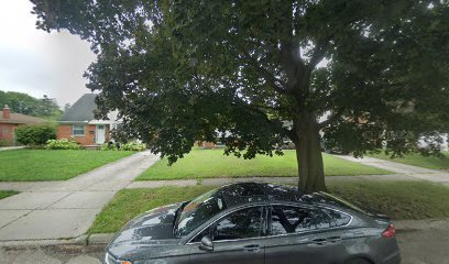 Dog day care in Dearborn Heights Michigan Cadence Canine Care 1