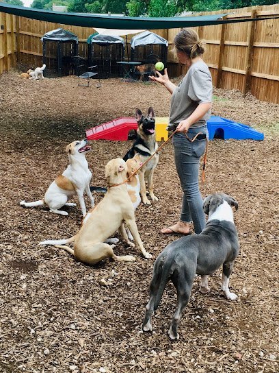 Dog day care in Decatur Georgia Frogs to Dogs Training Pet Care