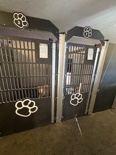 Dog day care in Deerfield New Hampshire Piney Pawz 1