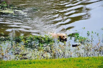Dog day care in Defiance Missouri Sorenson Kennels 1