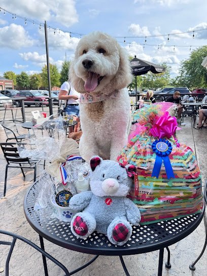 Dog day care in Delano Minnesota Bubbles and Bows Pet Services of Delano 1