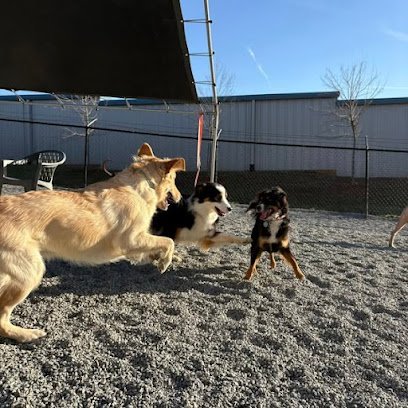 Dog day care in Denver North Carolina The Woof Den Dog Resort and Daycare 1