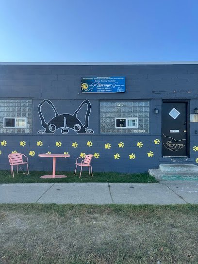 Dog day care in Detroit Michigan Royal Decision Co. Pet Spa 1