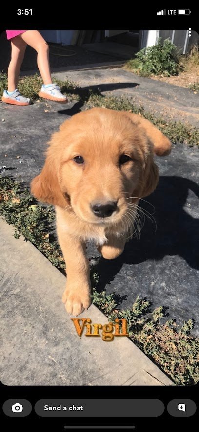 Dog day care in Dickinson North Dakota Antelope Creek Estates LLC 1