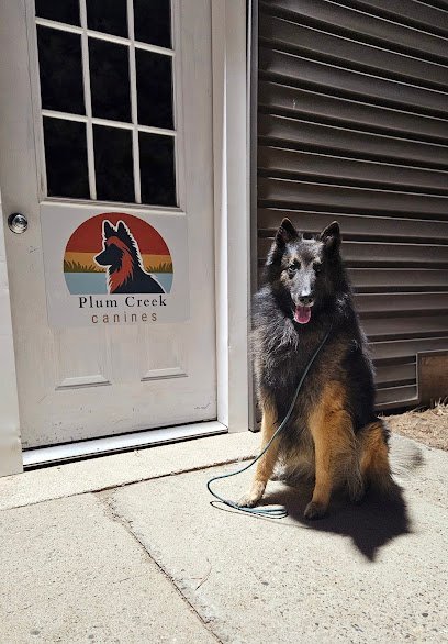 Dog day care in Dickinson North Dakota Plum Creek Canines 1