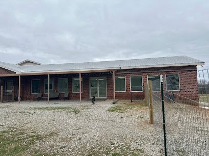 Dog day care in Dickson Tennessee Joyful Dog Training 1