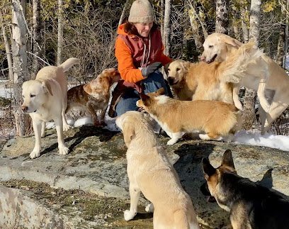 Dog day care in Dixmont Maine Firefly Kennel LLC 1