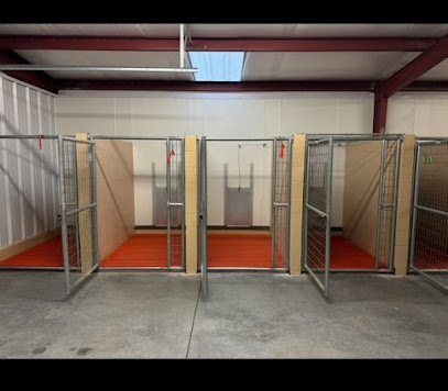 Dog day care in Dodge City Kansas Bark City 1