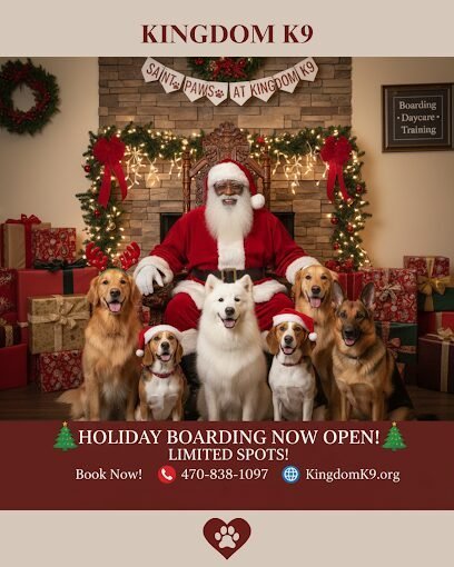 Dog day care in Douglasville Georgia Kingdom K9