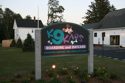 Dog day care in Dover New Hampshire K9 Kaos 1