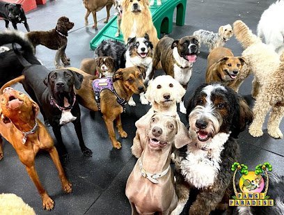 Dog day care in Downers Grove Illinois Paws In Paradise 1