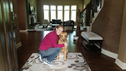 Dog day care in Downers Grove Illinois Smart Dogs Training Lodging 1