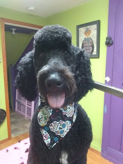 Dog day care in Dubuque Iowa The Paws Mahal Pet Spa F.U.R. On 14th 1