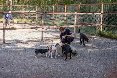 Dog day care in Duluth Minnesota Lewis Lane Kennels 1